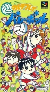 Multi-Play Volleyball