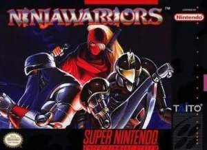 Ninja Warriors, The