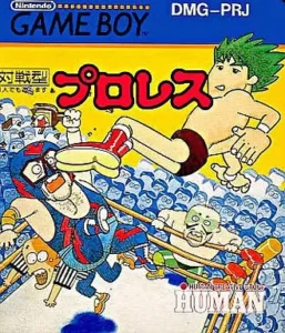Pro Wrestling