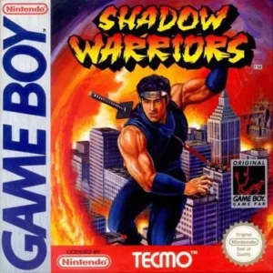 Shadow Warriors