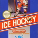 Skinhead On Ice (Nekketsu Hockey Hack)