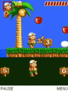 ZZZ_UNK_Hudson's Adventure Island 2 (Bad CHR D7863b26)