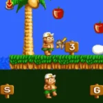 ZZZ_UNK_Hudson's Adventure Island (Bad CHR F9ccc03f)