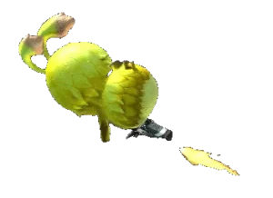 ZZZ_UNK_Shin Samurai Spirits 2 - Haoumaru Jigoku Hen (Bad CHR)
